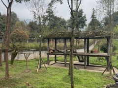-中国大熊猫保护研究中心雅安碧峰峡基地