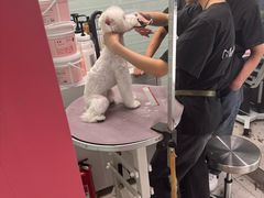 -FAELING PETS美天灵宠物(合生汇店)