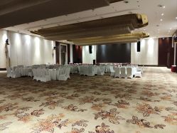 -成都世外桃源酒店-宴会厅·草坪婚礼·会议活动