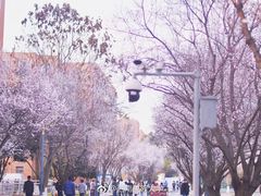 -西南民族大学南区(双流校区)