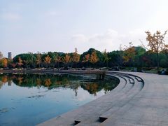 -新江湾城公园