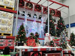 -山姆会员商店(上海浦东店)