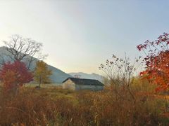 -塔川景区