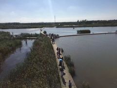 -盐城丹顶鹤湿地生态旅游区