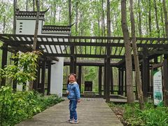 -合肥滨湖国家森林公园