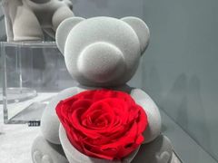 -ROSEONLY诺誓(国际广场购物中心店)