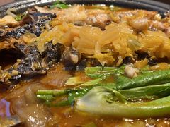 -鱼酷活鱼烤鱼(静安大融城店)