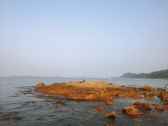 -杨梅坑
