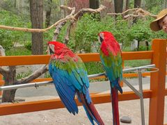 -北京野生动物园