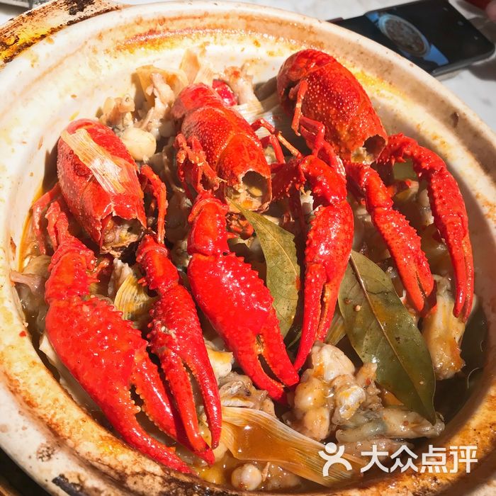 只要大肚皮龙虾