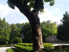 -十九路军淞沪抗日阵亡将士陵园