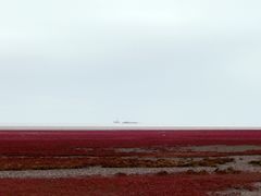 -红海滩国家风景廊道