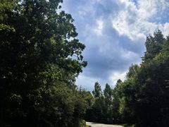 -茅兰沟国家森林公园