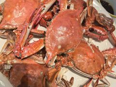 -东来菜馆•手抓海鲜家常菜•海鲜锅贴