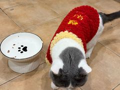 -美联众合动物医院·24h转诊中心