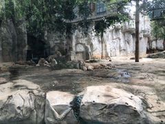 -灵玲国际马戏城