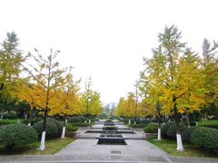 -杭州城北体育公园