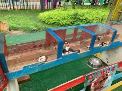 点击看大图 -萌宠亲子动物乐园(槐房万达店)