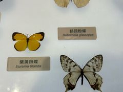 -中国湿地博物馆