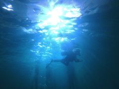 -上海潜殿潜水中心