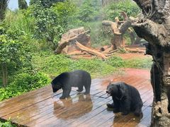 -海南热带野生动植物园