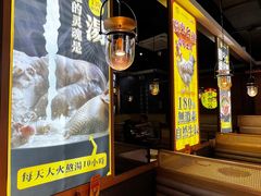 -顺德公广东猪肚鸡·煲仔饭(白石洲店)