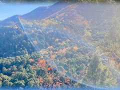 -香山公园