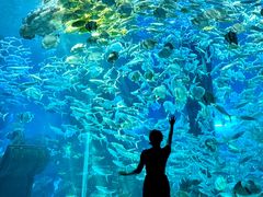 -波塞冬旅游度假区