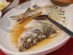 海鲈鱼-祝家花園(伯渎港店)