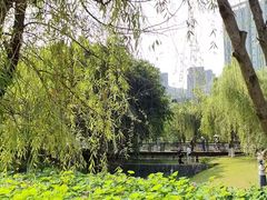 -沐仙湖湿地公园