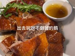-不倒翁·安徽名菜楼(步行街店)
