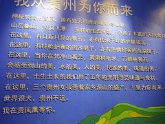 -贵凤凰贵州米粉(望京店)