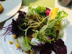 蔬菜沙拉-北京北辰洲际酒店啡扬咖啡厅·自助餐厅