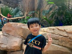 -杭州开元森泊度假乐园