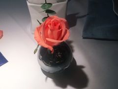 -佐度王子扒房(爱建卓展店)