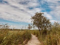 -野鸭湖国家湿地公园