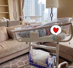 -巍阁高端月子会所