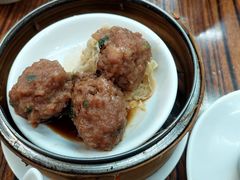 牛肉球-新志兴至尊烧鹅大王