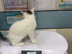 -虹泰宠物医院 ·旗舰店·24h(南秀路店)