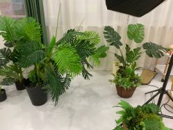 -小阿福儿童摄影(华中智谷店)