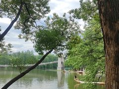 -东湖落雁景区