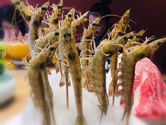 -尚海豆捞(乐虹坊店)