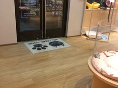 -Pets First伊珊娜洗护·精致美容·家庭式寄养(新会路店)