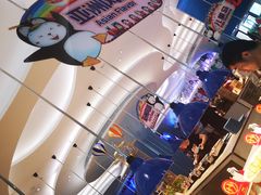 -帝企鹅自助餐厅•儿童岛•真企鹅(长隆企鹅酒店)