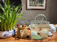 -景迈森林(古华园店)