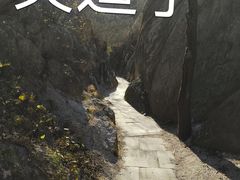 -北京凤凰岭