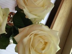 -Restaurant Paul Bocuse