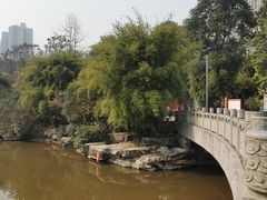 -龙头寺公园