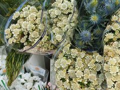 -循礼门鲜花花市(武汉循礼门店)