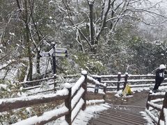 -剑门关风景区